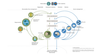 butterfly_diagram_cropped-2.bmp